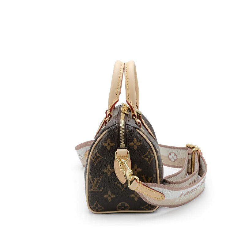 Louis Vuitton Speedy 20 – Monogram Canvas