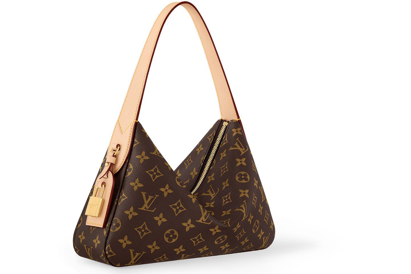 Louis Vuitton Slouchy PM Bag
