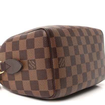 Louis Vuitton Speedy 20 – Damier Ebene Canvas