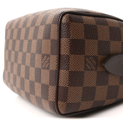 Louis Vuitton Speedy 20 – Damier Ebene Canvas